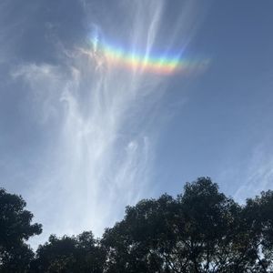 Meet your Posher, Dee